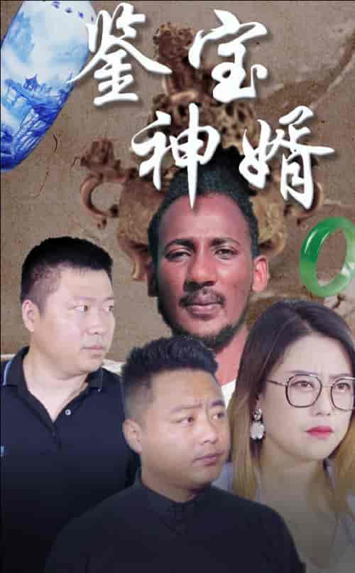 鉴宝神婿（87集）-紫橙资源网
