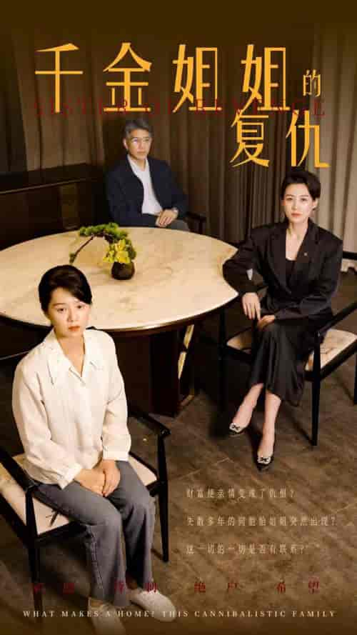 千金姐姐的复仇(79集)-紫橙资源网