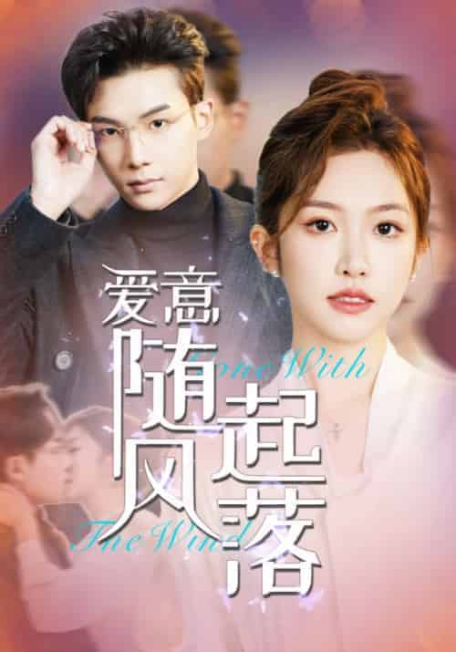 爱意随风起落（36集全）-紫橙资源网