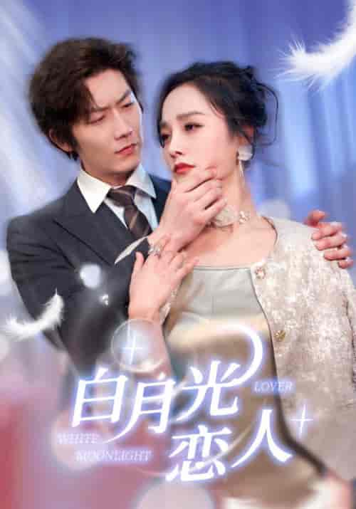 白月光恋人（100集）-紫橙资源网