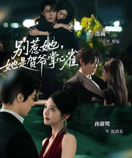 别惹她，她是贺爷掌心雀（69集全）邵巍＆孙露鹭-紫橙资源网