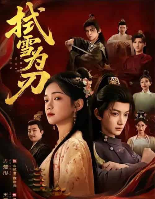 拭雪为刃（85集全）方楚彤＆王夏桥-紫橙资源网