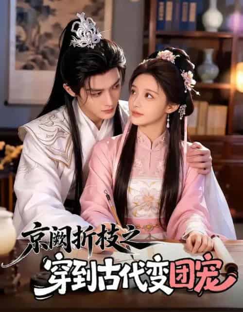 京阙折枝之穿到古代变团宠（60集全）AI-紫橙资源网