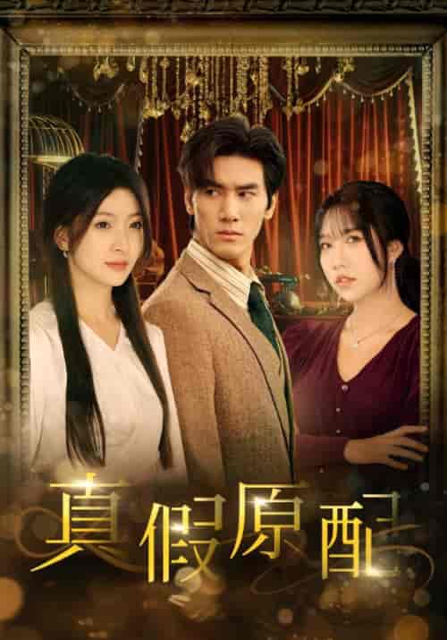 真假原配（35集全）顾承泽＆袁裴-紫橙资源网