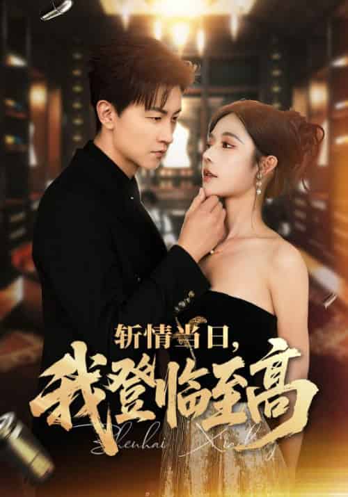 斩情当日,我登临至高&斩情当日我登临至高(69集全)王鹏&苏西&杨晴-紫橙资源网