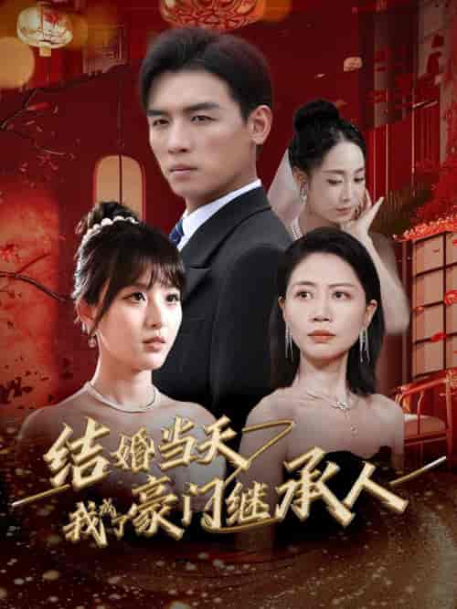 结婚当天我成了豪门继承人（53集全）-紫橙资源网