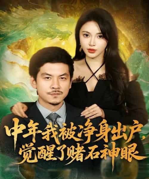 中年我被净身出户，觉醒了赌石神眼（80集全）柯珂（柯以）＆王辉-紫橙资源网