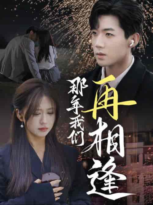 那年我们再相逢（65集全）张北淅＆柴慧欣-紫橙资源网