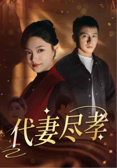 代妻尽孝（30集全）苏浩＆林清月-紫橙资源网