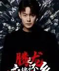 腾龙之衣锦还乡(30集全)邱浩轩-紫橙资源网
