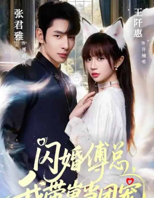 闪婚傅总，我带崽当团宠（85集全）张君雅＆王阡惠-紫橙资源网