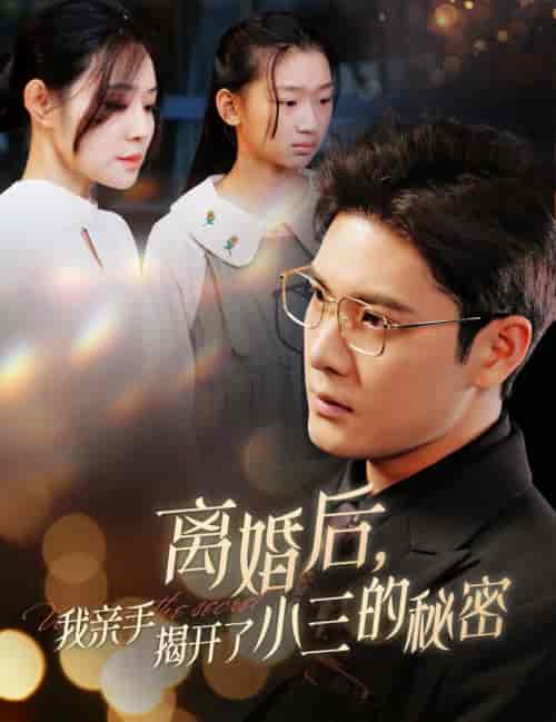 离婚后我亲手揭开了小三的秘密＆妈你离婚吧（60集全）-紫橙资源网
