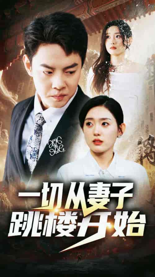 一切从妻子跳楼开始（82集）-紫橙资源网