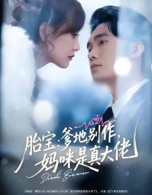 胎宝：爹地别作，妈咪是真大佬（60集全）宋哲伦＆张婉芳-紫橙资源网