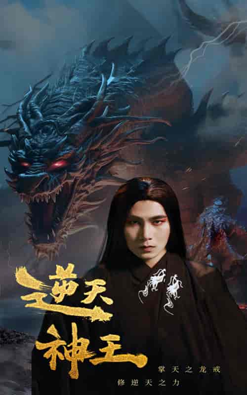 逆天神王（91集）-紫橙资源网