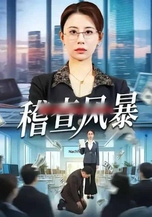 稽查风暴（79集全）郑天阳＆徐香颖-紫橙资源网