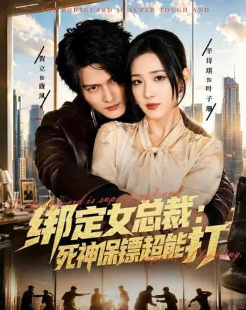 绑定女总裁:死神保镖超能打(80集全)贺立&辛诗琪-紫橙资源网