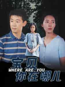 宝贝你在哪儿（30集）-紫橙资源网