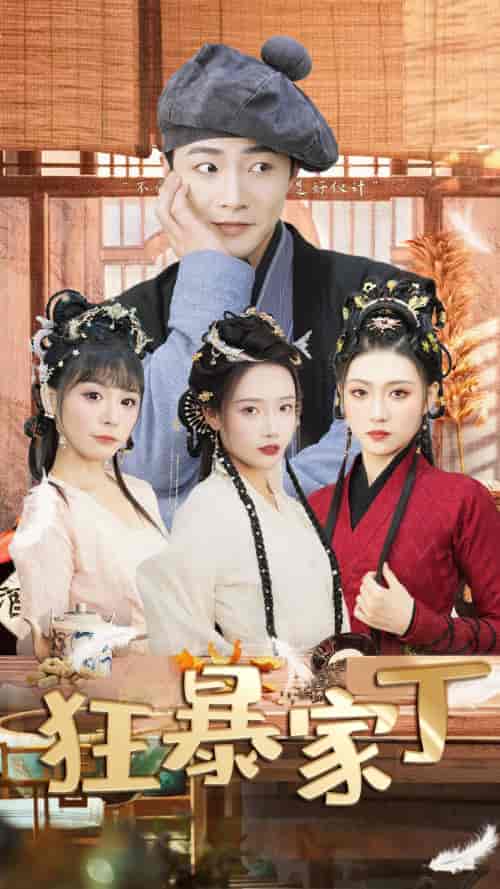 狂暴家丁＆飞驰人生之超品家丁（90集）-紫橙资源网