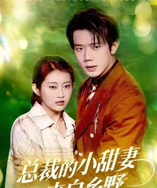 总裁的小甜妻来自乡野（127集全）何连飞＆崔馨心-紫橙资源网