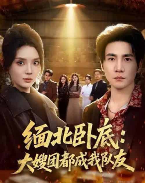 缅北卧底:大嫂团都成我队友(71集全)李想&文静-紫橙资源网