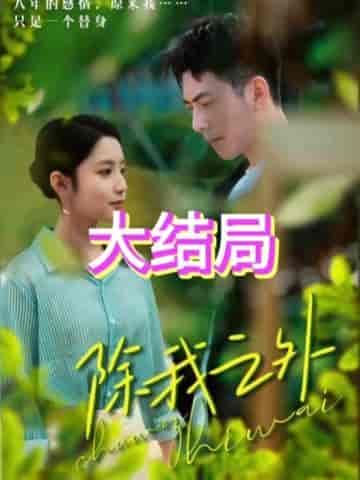 除我之外（80集）-紫橙资源网