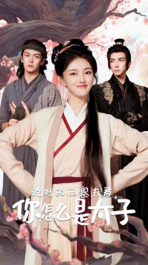 说好的压寨夫君，你怎么是太子（65集全）-紫橙资源网