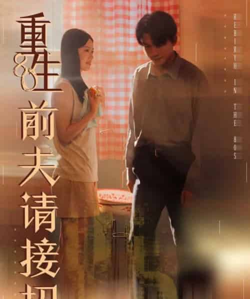 重生80前夫请接招（80集全）张美玲＆莫书铭-紫橙资源网