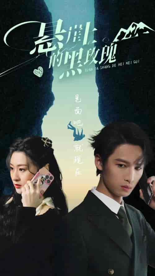悬崖上的黑玫瑰（101集）-紫橙资源网