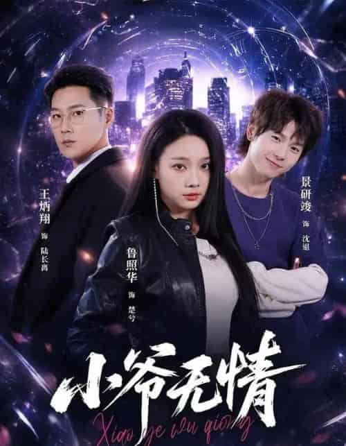小爷无情(75集全)景研竣&鲁照华&王炳翔-紫橙资源网