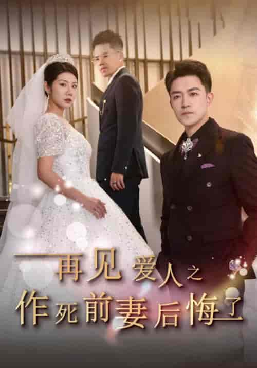 再见爱人之作死前妻后悔了（30集全）刘月涛＆汪天予-紫橙资源网