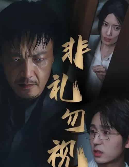 非礼勿视（30集）-紫橙资源网