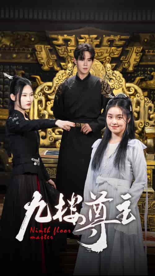 九楼尊主（88集）-紫橙资源网