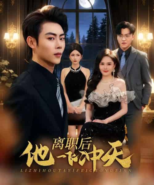 离职后他一飞冲天（80集全）肖智夫＆李姿伟-紫橙资源网