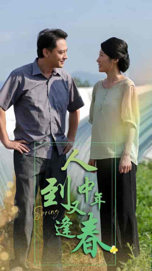 人到中年又逢春（61集全）-紫橙资源网