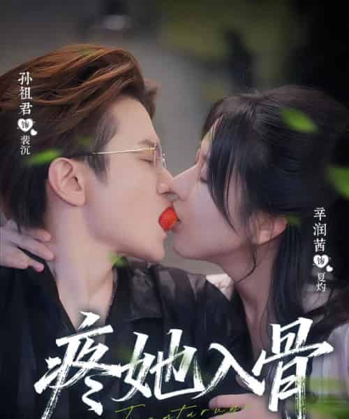 疼她入骨（80集全）辛润茜＆孙祖君-紫橙资源网