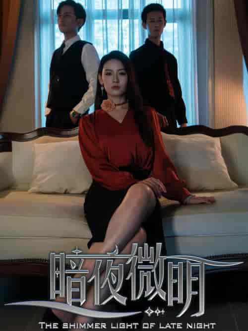 暗夜微明（70集全）-紫橙资源网