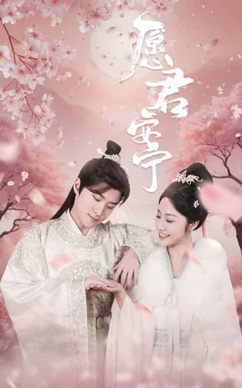 愿君安宁(34集全)白雪茹-紫橙资源网