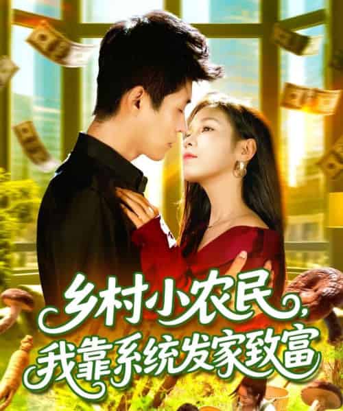乡村小农民,我靠系统发家致富 (100集全) 朱佳琪&韩雨轩-紫橙资源网