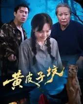 黄皮子坟（35集）-紫橙资源网