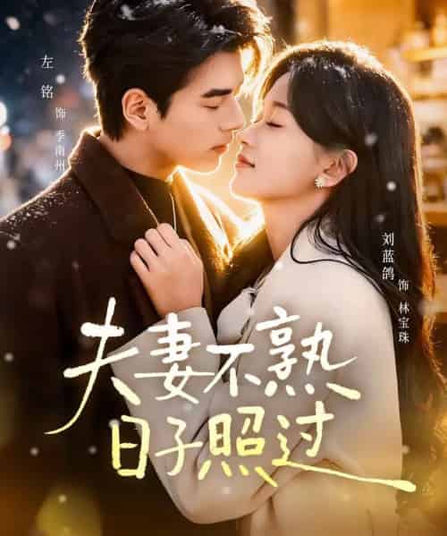夫妻不熟，日子照过（80集全）左铭＆刘蓝鸽-紫橙资源网