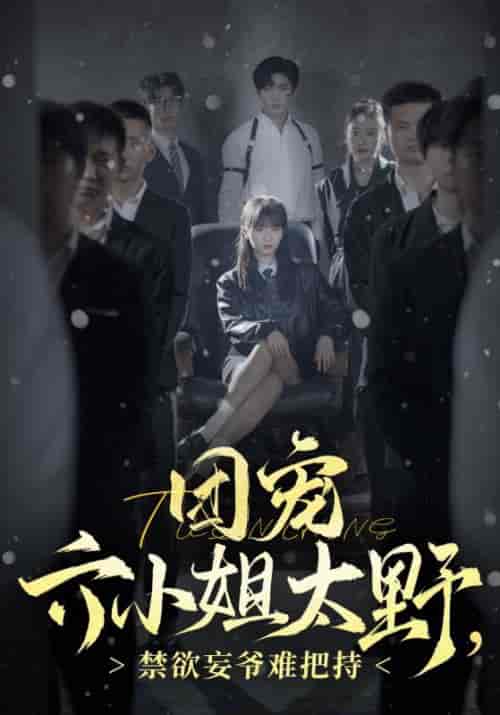 团宠六小姐太野，禁欲妄爷难把持（90集全）张北淅-紫橙资源网