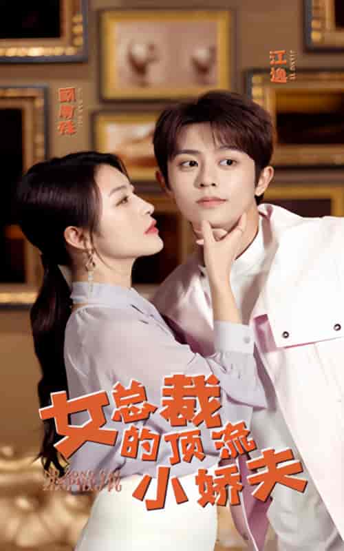 女总裁的顶流小娇夫（101集）-紫橙资源网