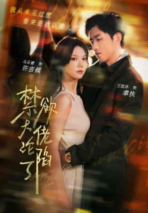 禁欲大佬沦陷了（106集全）聿执＆许言倾-紫橙资源网