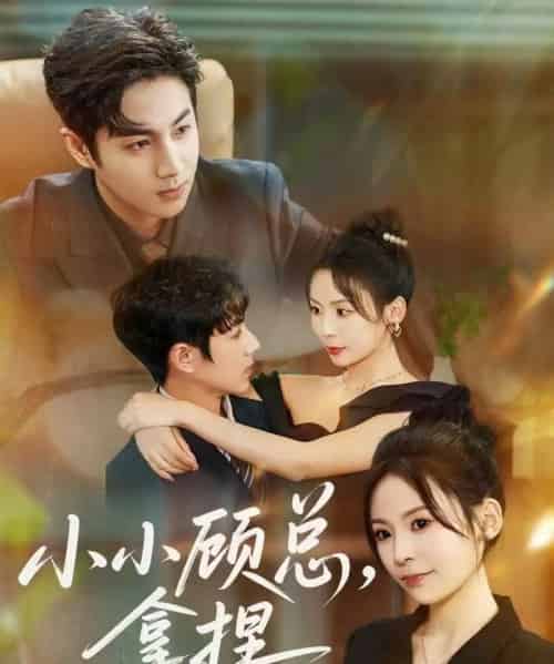 小小顾总拿捏（82集全）谷聿扬＆田珍-紫橙资源网