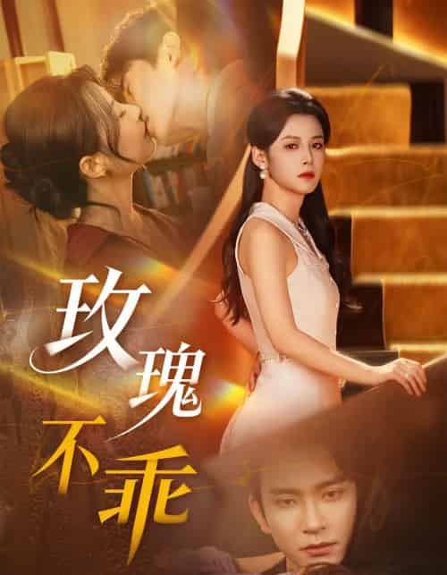 玫瑰不乖（69集全）王已歌＆谭雯文-紫橙资源网