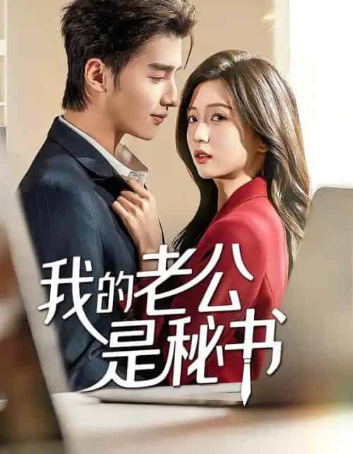 我的老公是秘书 我的老公是秘书