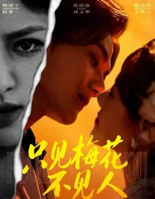 只见梅花不见人＆梅花落尽时（63集全）聂文华＆王楚沅-紫橙资源网