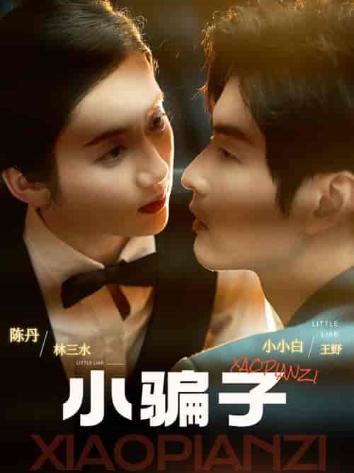 小骗子(35集)-紫橙资源网