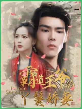 霸道王爷的丫鬟娇妻(88集)穿越剧-紫橙资源网